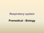 Respiratory system