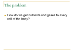 The Circulatory System