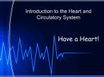 Introduction to the Heart and Circulatory System