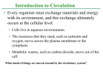 Circulation In Animals 1