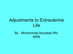 Adjustments to Extrauterine Life