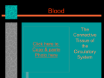 Endocrine System