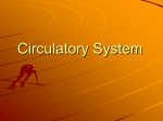 Circulatory