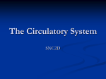 The-Circulatory-System