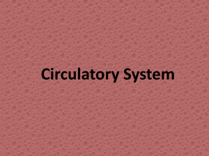 Circulatory System