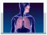 M6 Lesson 7 Respiration - SBI3UAnimalUnit