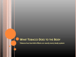WHAT TOBACCO DOES TO THE BODY Tobacco has harmful