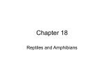 Chapter 18 - Cloudfront.net