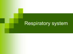 Respiratory system