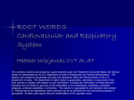 root words - Workforce Solutions