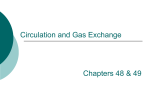 Circulation and Gas Exchange