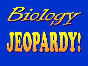 Back BIOCHEMISTRY FOR 100 CHECK YOUR ANSWER