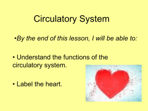 Circulatory System