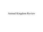Animal Kingdom Review - Effingham County Schools