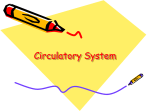 Circulatory System