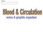 Graphic Organizer: Blood & Circulation