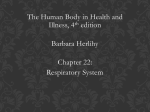 File respiratory system chapter_022