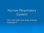 respiratory tract - Pleasantville High School