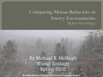 Identifying Moose Behaviors in Snowy Environments In the