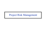 Project Risk Management