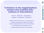 Magnetopause turbulence studied with CLUSTER data