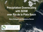 Precipitation downscaling with SDSM over Rio de la Plata basin
