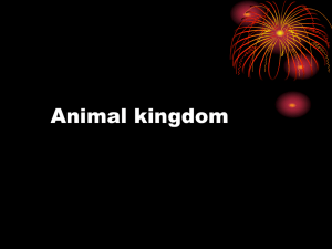 Animal kingdom