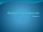 Animals Part I - CCRI Faculty Web