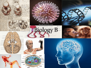 Biology B