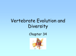 VERTEBRATE EVOLUTION AND DIVERSITY
