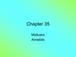 Chapter 35