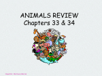 ANIMALS REVIEW Chapters 33 & 34