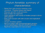 Topic 6 Annelids