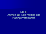 Biol 1031 Lab 8 Slides