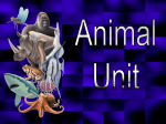 File animal unit powerpoint (1)