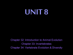 UNIT 8