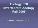 Biology 320 Invertebrate Zoology Fall 2005 Chapter 7