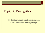 Topic 5: Energetics