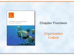 Chapter Fourteen Organization Culture