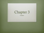 Chapter 3