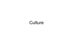 Culture PowerPoint