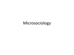 Microsociology - Cloudfront.net