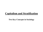 Capitalism and Stratification