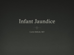 Infant Jaundice 9/6/12 Continuity Lecture