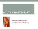 Acute Kidney Injury (AKI)