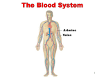 The Blood System - Northwest Technology Center