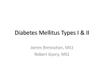 Diabetes Mellitus Type II – An Overview