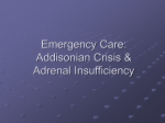 Emergency Care: Thyroid Storm and Addisonian Crisis