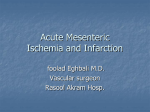 Acute Mesenteric Ischemia and Infarction