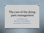 Pain control in the care of the dying